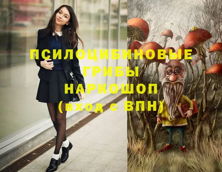 Псилоцибиновые грибы Psilocybe  Заполярный 